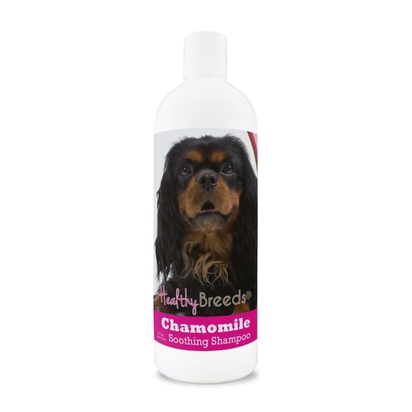 Healthy Breeds 8 oz English Toy Spaniel Chamomile Soothing Dog Shampoo 192959000696 - main